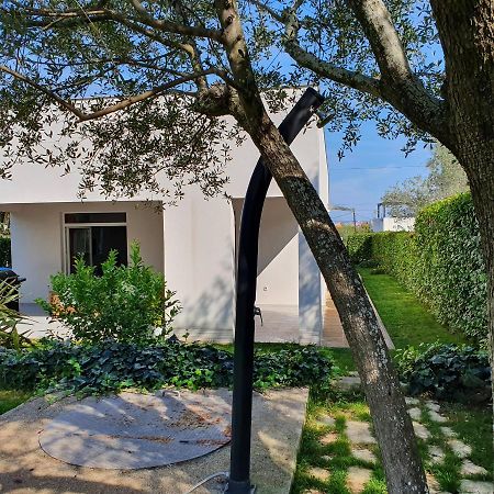 Villa Tea Zadar Eksteriør billede